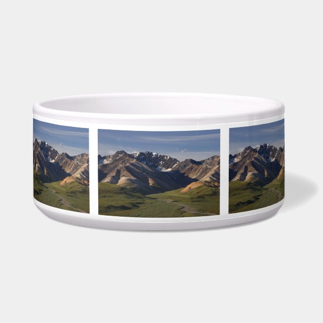 Écuelle Parc national de Denali (Devant)