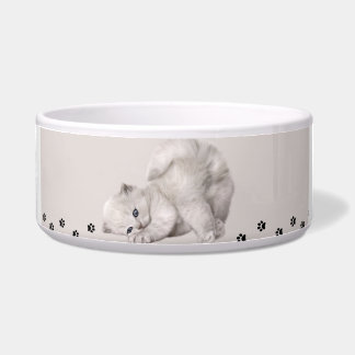 Écuelle "Pawyer Bowl" ? 🐾 ✨