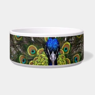 Écuelle Peacock Pet Bowl