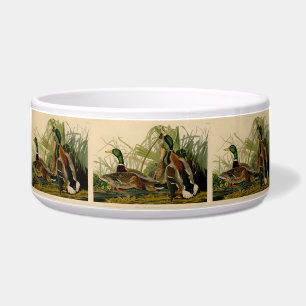 Écuelle Peinture d'oiseaux de Mallard Duck Audubon