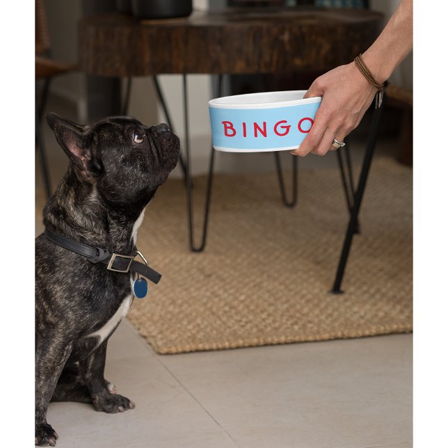 Écuelle Personnalisé Animaux de compagnie Chien Nom de cha (Custom Personalized Pet Dog Cat Name Food Bowl)