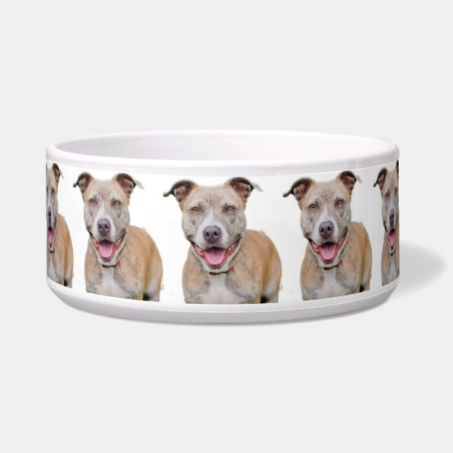 Écuelle Pet Bowl/Pitbull (Devant)