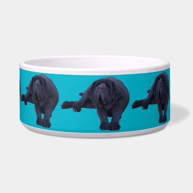 Écuelle Pet Bowl pour n'importe quelle race plus grande de (Devant)