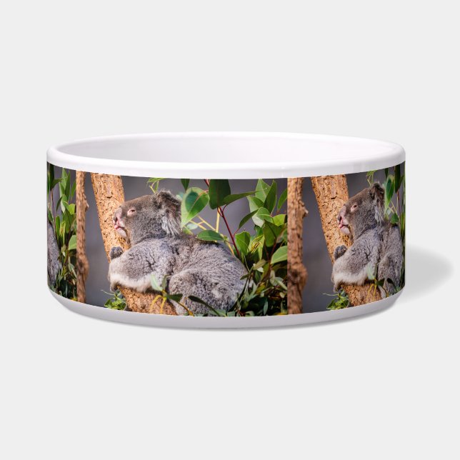 Écuelle Petit koala doux (Droite)