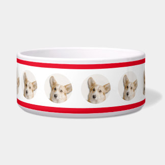 Écuelle Photo Dog Bowl - Custom made with Image