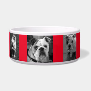 Écuelle Photos et nom du chien noir et blanc Personnalisé