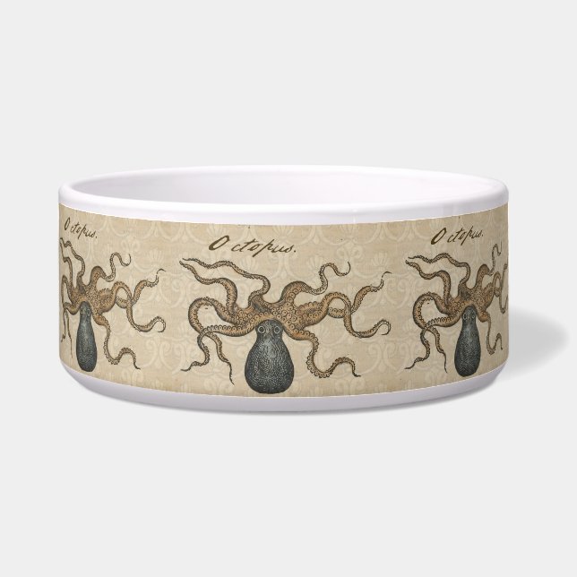 Écuelle Pieuvre Kraken Antique Faune Marine Côtière (Devant)