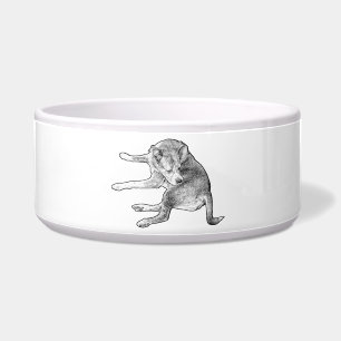 Écuelle Plaisir de Repas de Chien