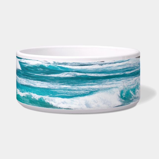 Écuelle Pointe des Châteaux, Grande-Terre, Guadeloupe (Droite)