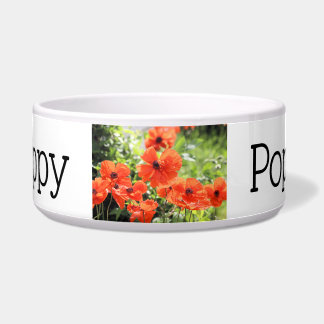 Écuelle Poppies