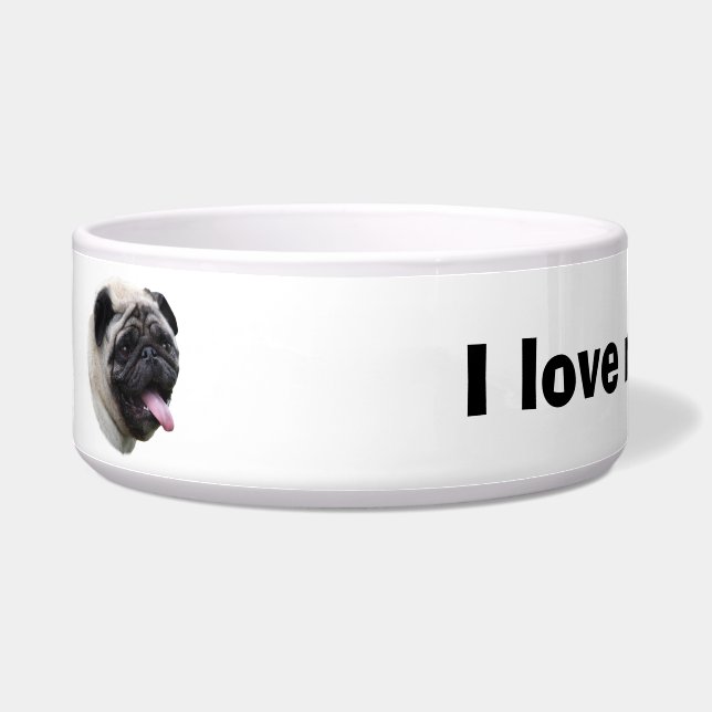 Écuelle Portrait de photo d'animal familier de chien de (Gauche)