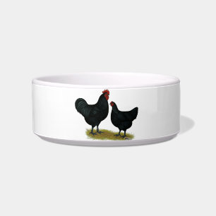 Écuelle Poulets géants Jersey