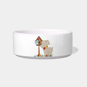 écuelle pour animaux