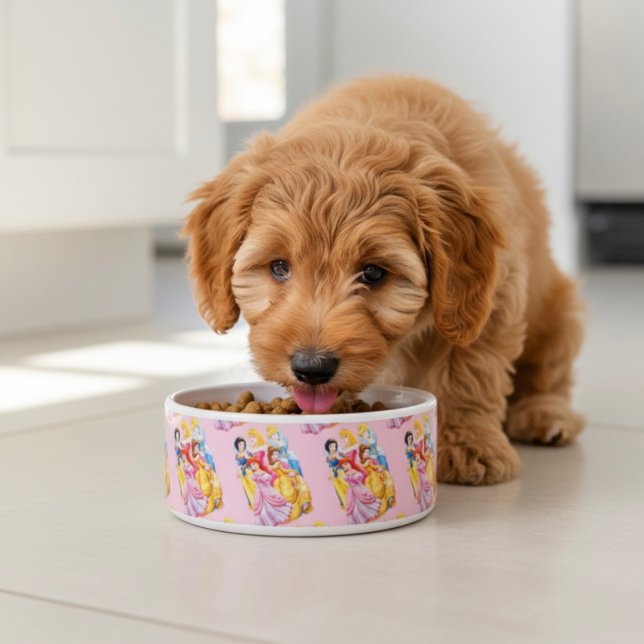 Écuelle Princess Bowl (Créateur téléchargé)