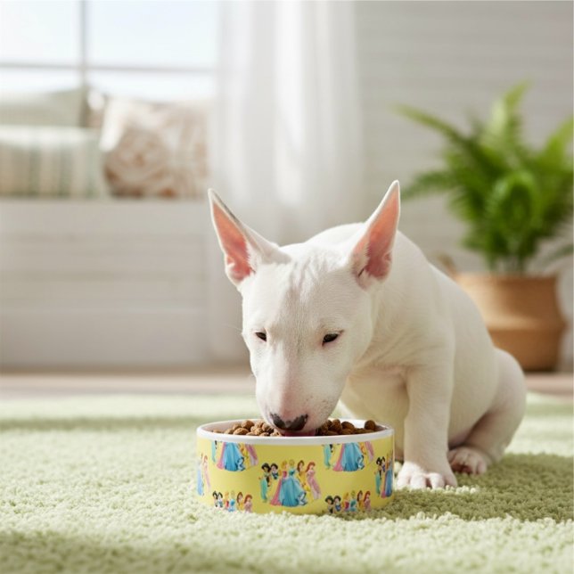 Écuelle Princess Bowl (Créateur téléchargé)