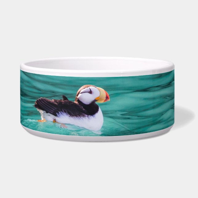 Écuelle Puffin Dans La Baie De Résurrection, Alaska (Droite)