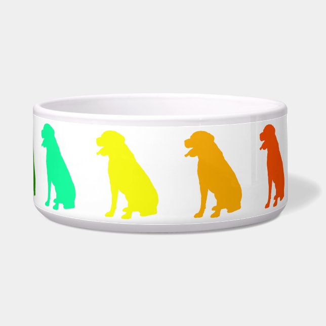 Écuelle Rainbow Labrador Pet Bowl (Droite)