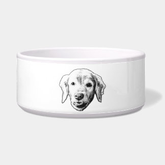 Écuelle Repas de l'histoire du chiot