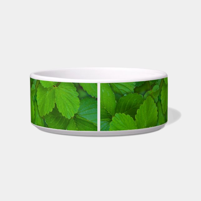 Écuelle Saint Basil Tulsi Green Mint Feuilles (Dos)