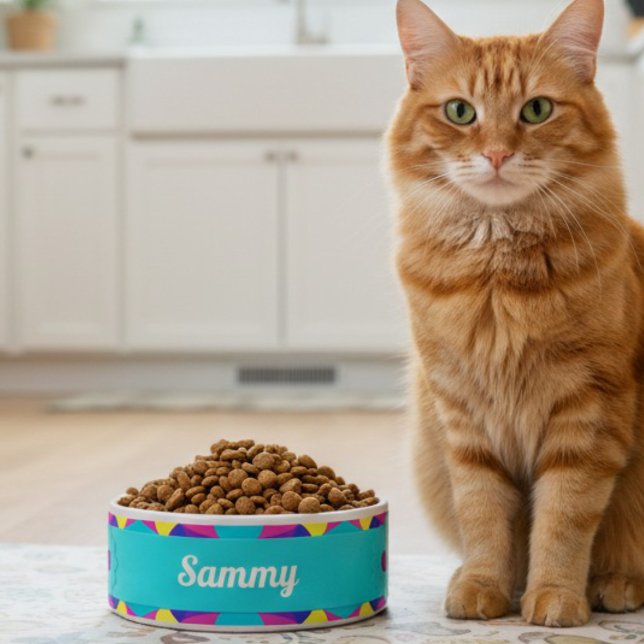 Écuelle Sea Green Retro en céramique géométrique poêle Bow (Custom eats for the cat who runs the house. Brightly colored and many to choose from.)