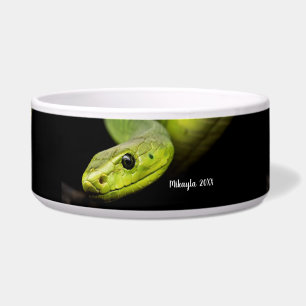 Écuelle Serpent arbre vert