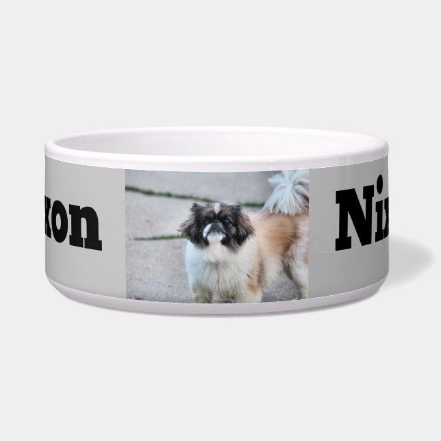 Écuelle Shih Tzu (Devant)