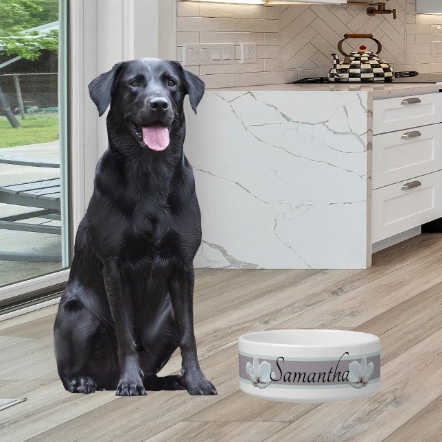 Écuelle Simple bol feminin doux avec Magnolias (Créateur téléchargé)