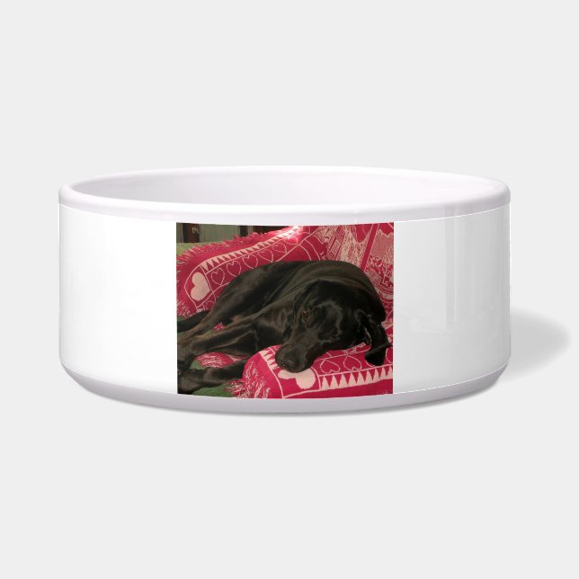 Écuelle Sleepy Dog Pet Bowl (Devant)