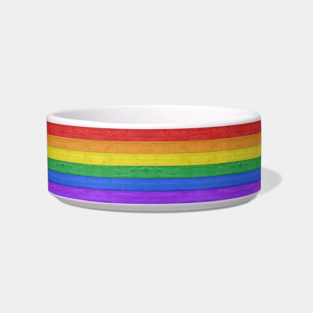 Écuelle SlipperyJoe's classique arc-en-ciel tactile fait m (Devant)
