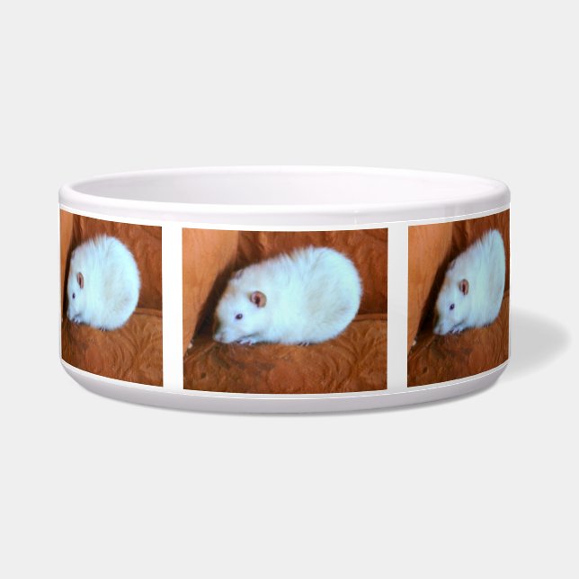 Écuelle Snowball White Rat Dog Bowl (Devant)