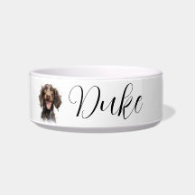 Spaniel d'eau américain gibier d'eau