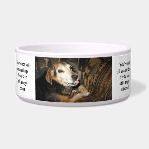 Écuelle Sparky le beagle