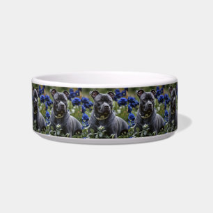 Écuelle Staffordshire Bull Terrier Dans Blue Rose Garden,