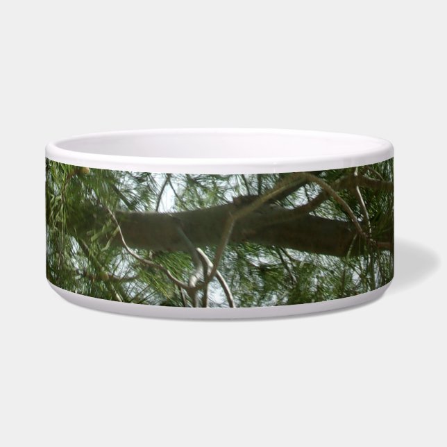 ÉCUELLE STYLE DE CONCEPTION DE BOWL ALIMENTAIRE POUR ANIMA (Devant)