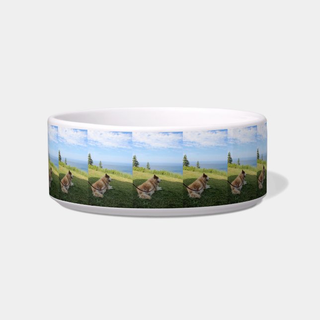 Écuelle Suka Profite du bol pour animaux de Cape George (Devant)