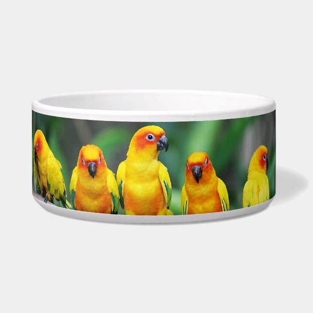 Écuelle Sun Conures (Droite)