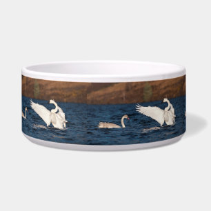 Écuelle Swan