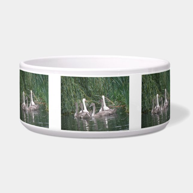 Écuelle Swans et Cygnets Pet Bowl (Devant)