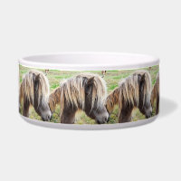 Tan Coloré Shetland Pony,