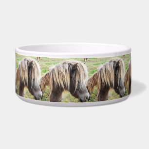 Écuelle Tan Coloré Shetland Pony,