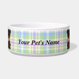 Écuelle Terrier Yorkie Chien Chien Chien Puppy Nourriture