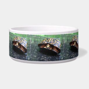 Écuelle Tortue de boîte