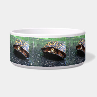 Écuelle Tortue de boîte