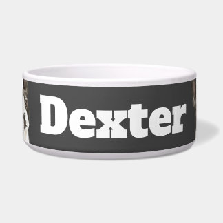 Écuelle Triangle de Boston Terrier