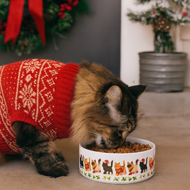 Écuelle Trio de chats de Noël avec sentier de houx (Capture the spirit of the season where pets are part of the celebration.)