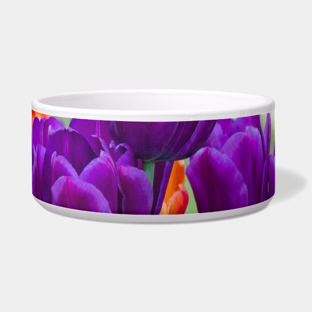 Écuelle Tulipes violettes foncées par beau temps dans le j (Devant)