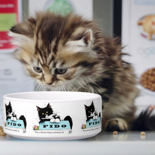 Écuelle Tuxedo Kitten Chien's Bowl