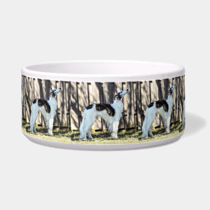 Écuelle Un Silken Windhound