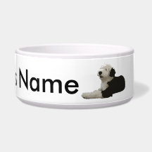 Vieux chien de berger anglais