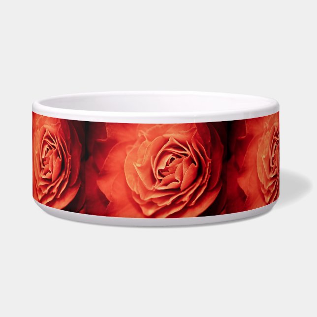 Écuelle vivant rose (Devant)